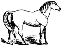 HDC012E.TIF