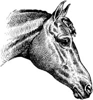 HDC011G.TIF