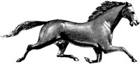 HDC008A.TIF
