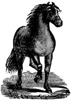 HDC003G.TIF