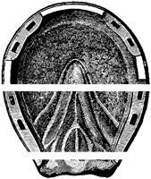 HDC086G.TIF