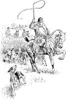 HDC041A.TIF