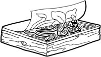 SPA029A.TIF
