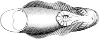TAN063F.TIF