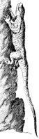 TAN059A.TIF