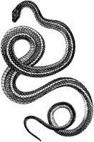 TAN051B.TIF