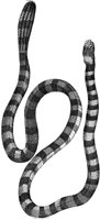 TAN044A.TIF