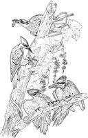 ABA046A.TIF