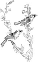 ABA044A.TIF
