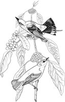 ABA043A.TIF