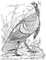 ABA040A.TIF