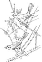 ABA039A.TIF