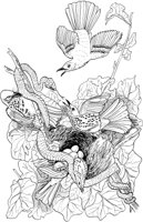 ABA038A.TIF