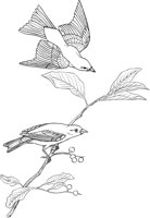 ABA037A.TIF