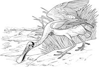ABA036A.TIF