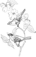 ABA035A.TIF