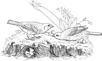 ABA034A.TIF