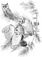 ABA029A.TIF