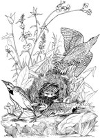 ABA026A.TIF