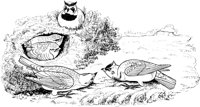 ABA024A.TIF