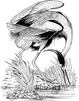 ABA020A.TIF