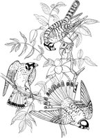 ABA019A.TIF