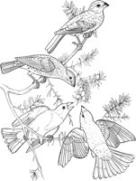 ABA018A.TIF