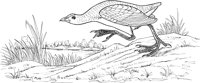 ABA015A.TIF