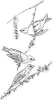 ABA012A.TIF