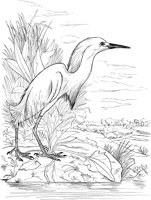 ABA011A.TIF