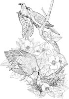ABA009A.TIF