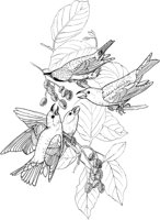 ABA008A.TIF