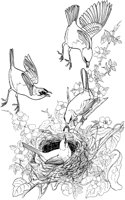 ABA006A.TIF