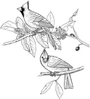 ABA005A.TIF