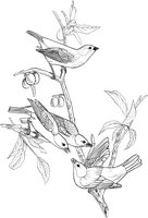 ABA004A.TIF