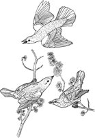 ABA002A.TIF