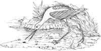 ABA001A.TIF