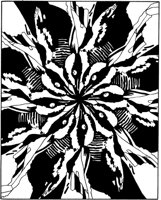 BFD043A.TIF