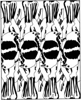 BFD038A.TIF