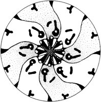 BFD000A.TIF