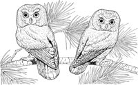 BOP047A.TIF