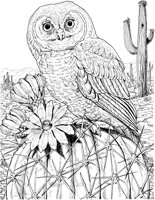 BOP041A.TIF