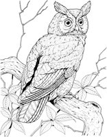 BOP039A.TIF