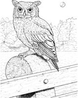BOP038A.TIF