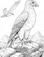 BOP026A.TIF