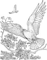 BOP013A.TIF