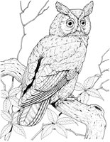 BOP010A.TIF