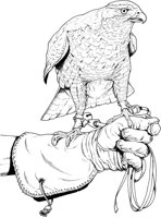BOP009A.TIF