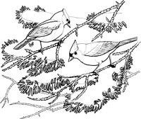 FFB042A.TIF
