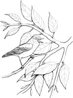 FFB033A.TIF